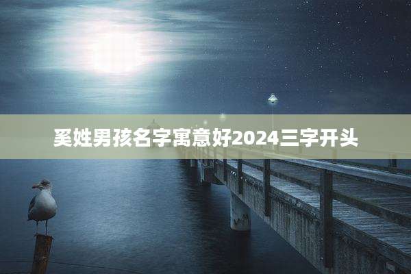 奚姓男孩名字寓意好2024三字开头