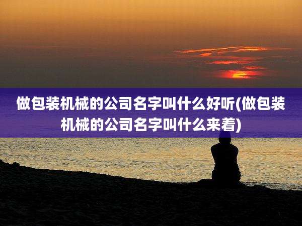 做包装机械的公司名字叫什么好听(做包装机械的公司名字叫什么来着)