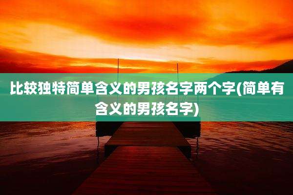 比较独特简单含义的男孩名字两个字(简单有含义的男孩名字)