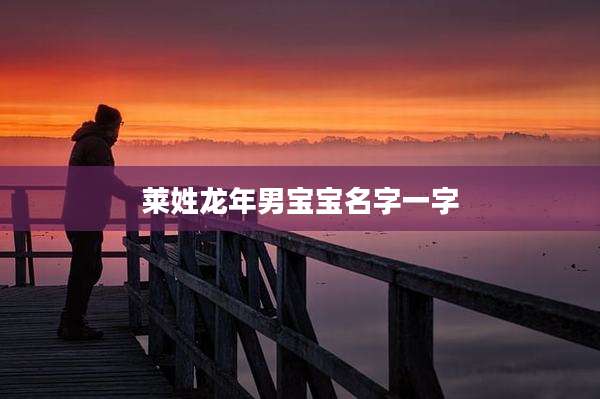 莱姓龙年男宝宝名字一字