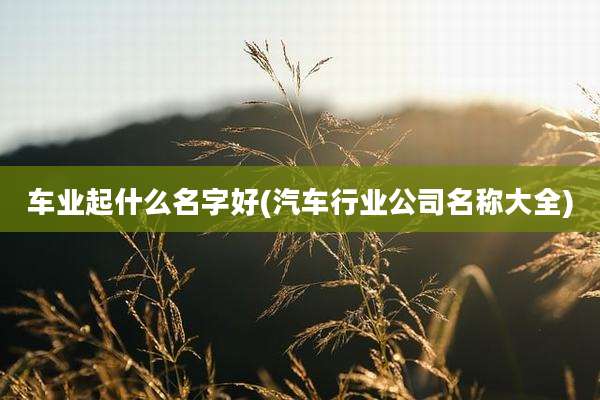 车业起什么名字好(汽车行业公司名称大全)