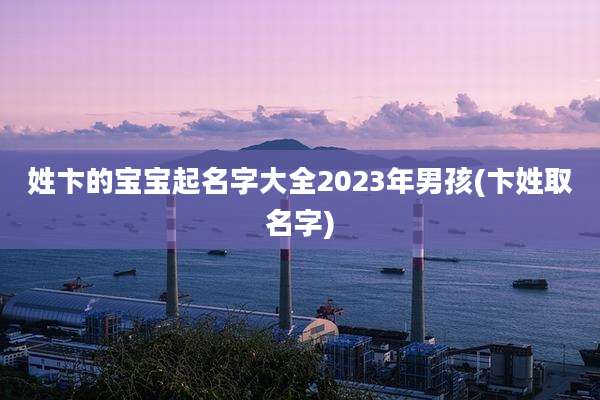 姓卞的宝宝起名字大全2023年男孩(卞姓取名字)