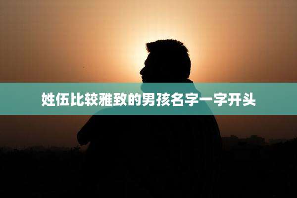 姓伍比较雅致的男孩名字一字开头