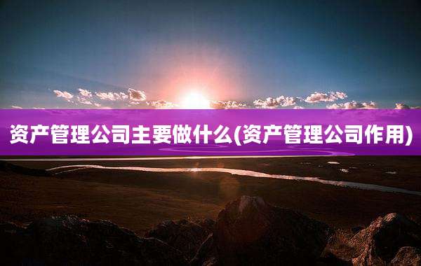 资产管理公司主要做什么(资产管理公司作用)