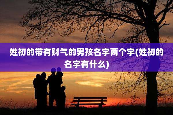 姓初的带有财气的男孩名字两个字(姓初的名字有什么)
