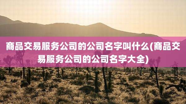 商品交易服务公司的公司名字叫什么(商品交易服务公司的公司名字大全)