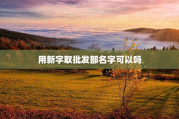 用新字取批发部名字可以吗