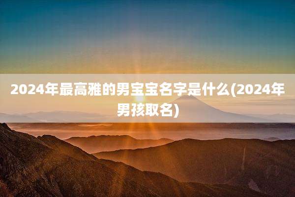 2024年最高雅的男宝宝名字是什么(2024年男孩取名)