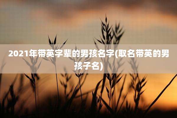 2021年带英字辈的男孩名字(取名带英的男孩子名)