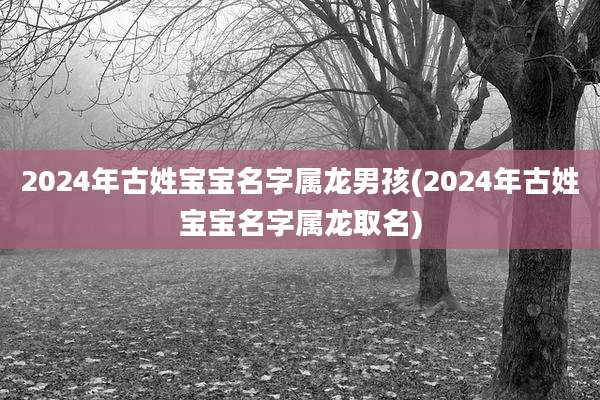 2024年古姓宝宝名字属龙男孩(2024年古姓宝宝名字属龙取名)