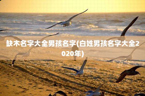 缺木名字大全男孩名字(白姓男孩名字大全2020年)