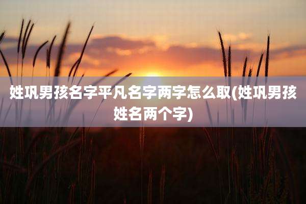 姓巩男孩名字平凡名字两字怎么取(姓巩男孩姓名两个字)