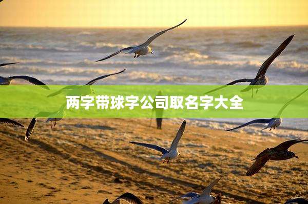 两字带球字公司取名字大全
