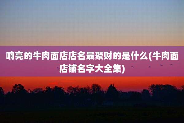 响亮的牛肉面店店名最聚财的是什么(牛肉面店铺名字大全集)