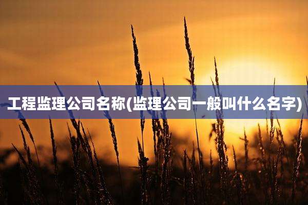工程监理公司名称(监理公司一般叫什么名字)