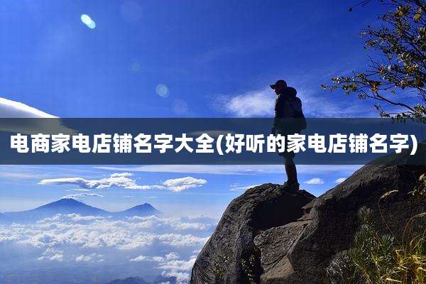 电商家电店铺名字大全(好听的家电店铺名字)