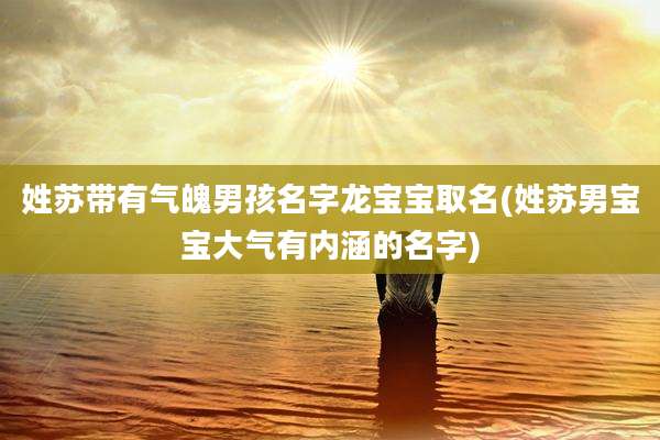 姓苏带有气魄男孩名字龙宝宝取名(姓苏男宝宝大气有内涵的名字)