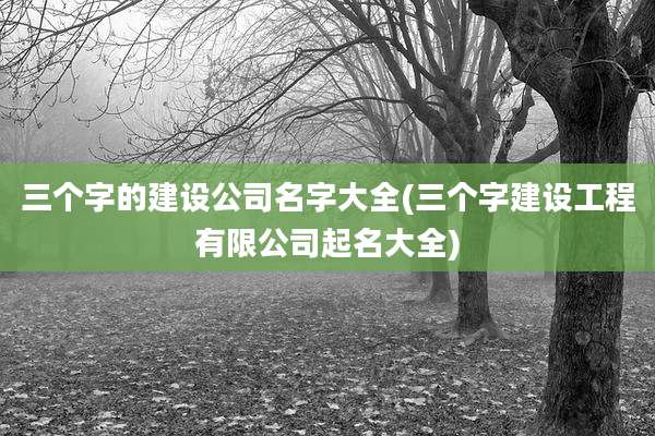 三个字的建设公司名字大全(三个字建设工程有限公司起名大全)