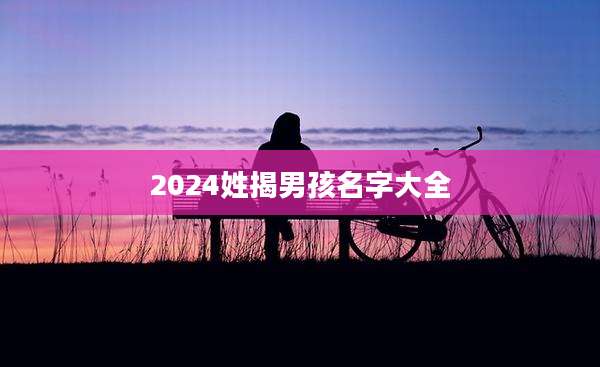 2024姓揭男孩名字大全