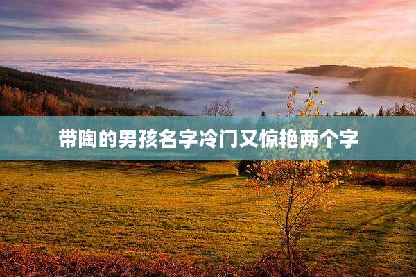 带陶的男孩名字冷门又惊艳两个字