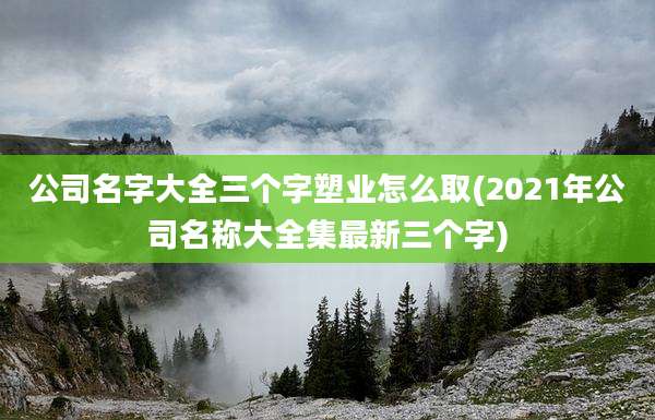公司名字大全三个字塑业怎么取(2021年公司名称大全集最新三个字)