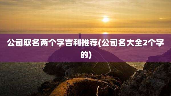 公司取名两个字吉利推荐(公司名大全2个字的)
