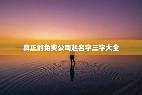 真正的免费公司起名字三字大全