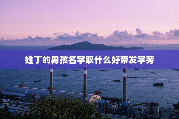 姓丁的男孩名字取什么好带发字旁