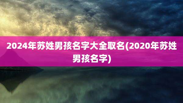 2024年苏姓男孩名字大全取名(2020年苏姓男孩名字)