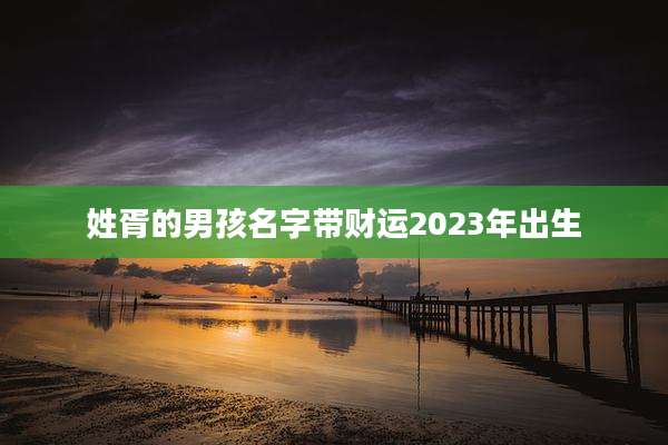 姓胥的男孩名字带财运2023年出生