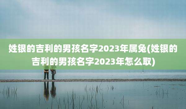 姓银的吉利的男孩名字2023年属兔(姓银的吉利的男孩名字2023年怎么取)