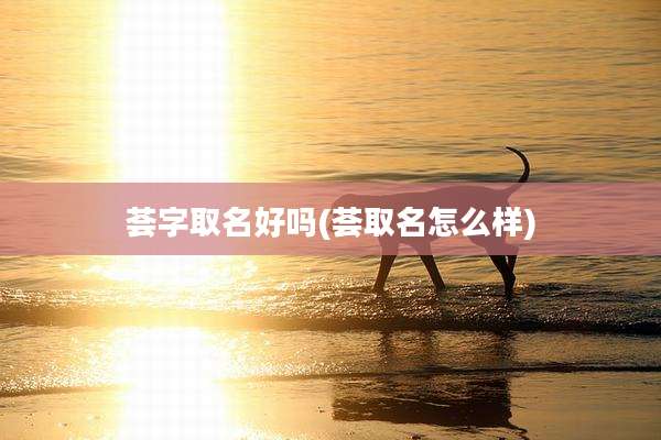 荟字取名好吗(荟取名怎么样)