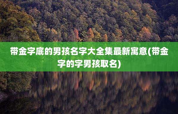 带金字底的男孩名字大全集最新寓意(带金字的字男孩取名)