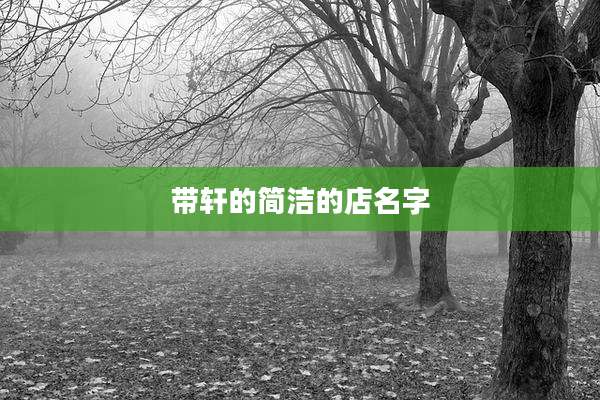 带轩的简洁的店名字