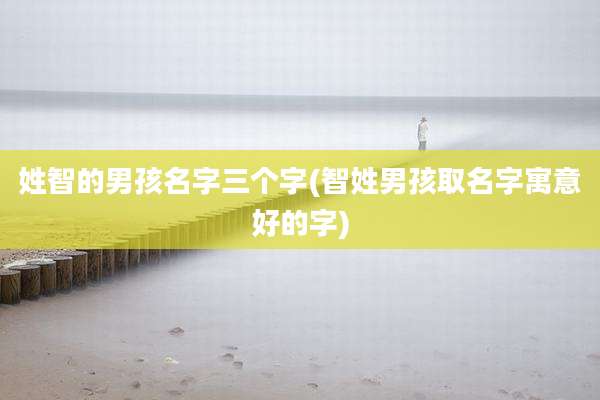 姓智的男孩名字三个字(智姓男孩取名字寓意好的字)