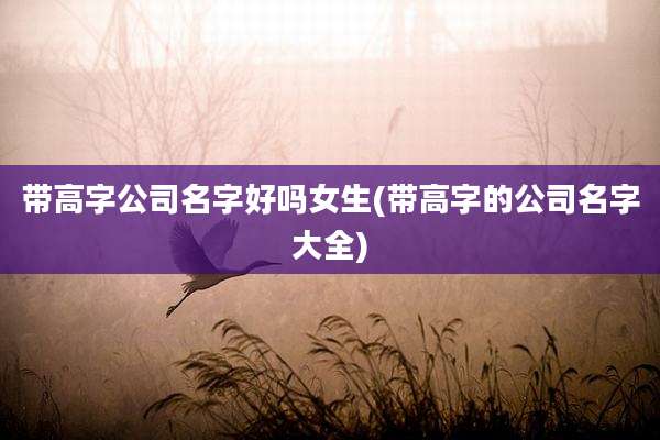 带高字公司名字好吗女生(带高字的公司名字大全)