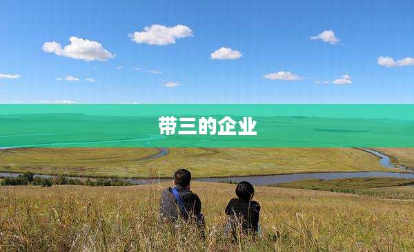 带三的企业