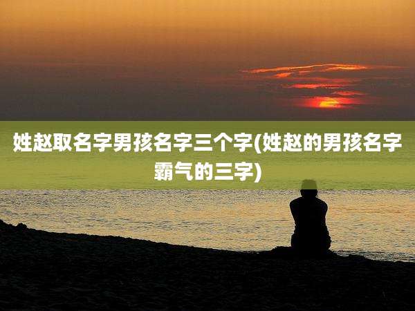 姓赵取名字男孩名字三个字(姓赵的男孩名字霸气的三字)