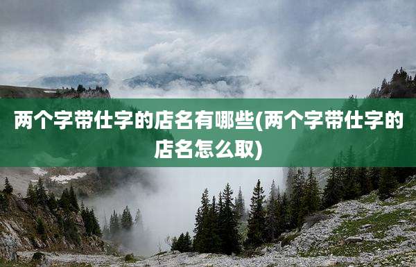 两个字带仕字的店名有哪些(两个字带仕字的店名怎么取)