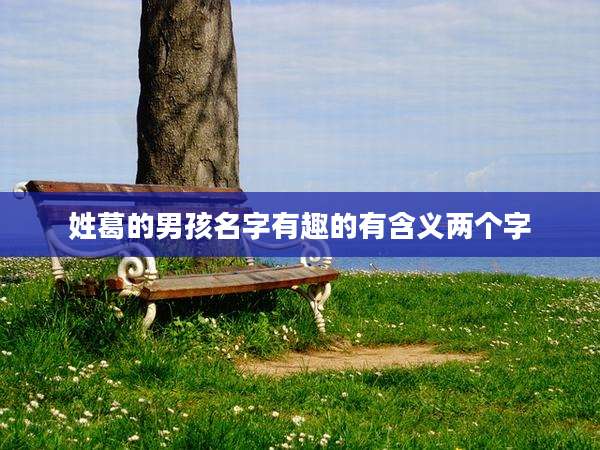 姓葛的男孩名字有趣的有含义两个字