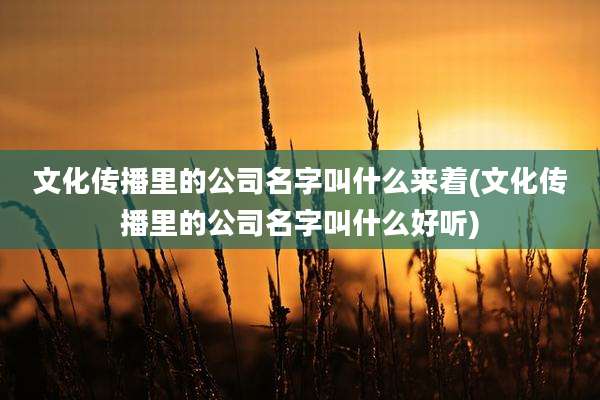 文化传播里的公司名字叫什么来着(文化传播里的公司名字叫什么好听)