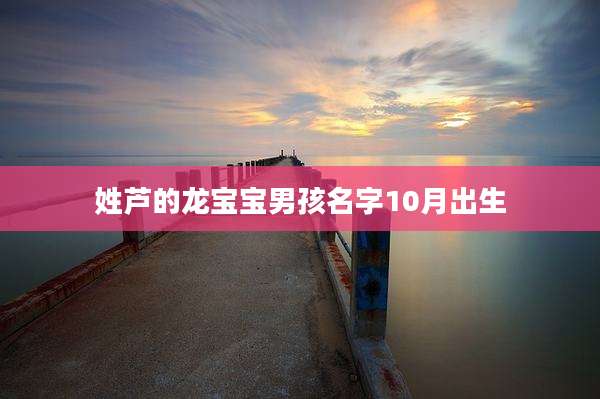 姓芦的龙宝宝男孩名字10月出生