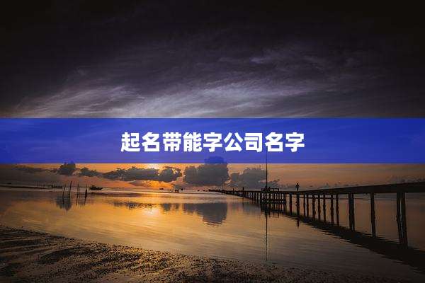 起名带能字公司名字