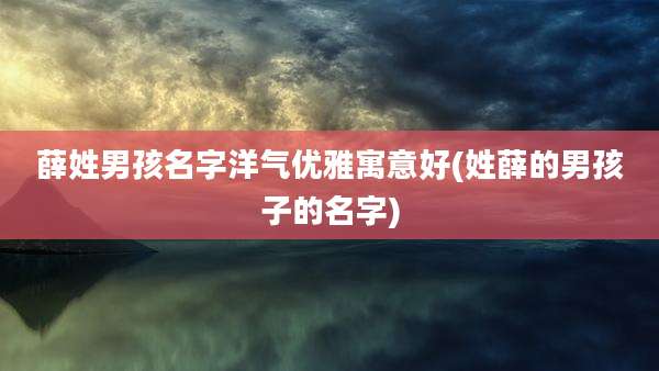 薛姓男孩名字洋气优雅寓意好(姓薛的男孩子的名字)