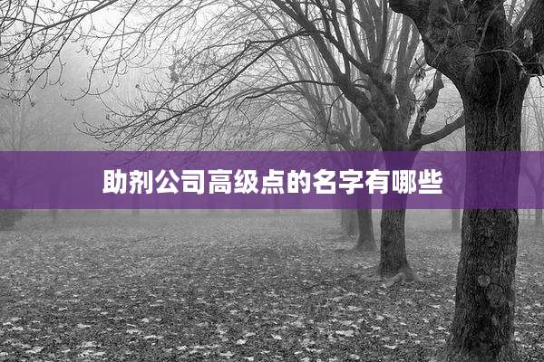 助剂公司高级点的名字有哪些