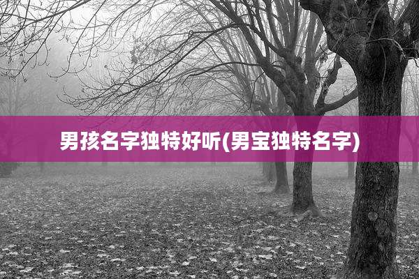 男孩名字独特好听(男宝独特名字)