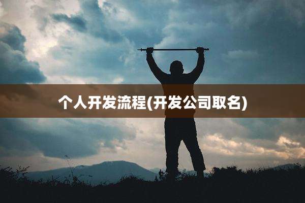 个人开发流程(开发公司取名)