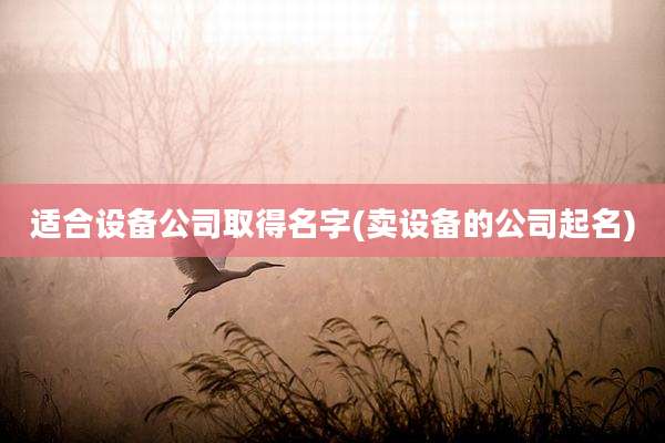 适合设备公司取得名字(卖设备的公司起名)