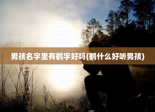 男孩名字里有鹤字好吗(鹤什么好听男孩)