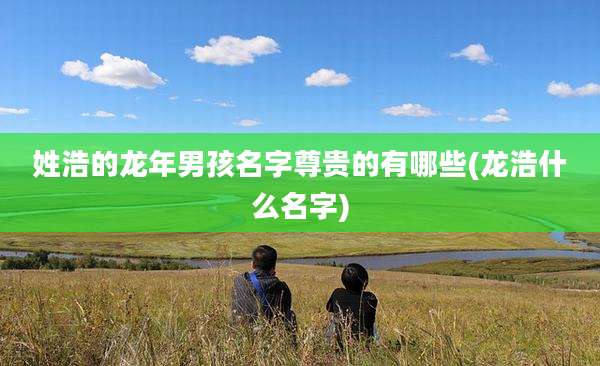 姓浩的龙年男孩名字尊贵的有哪些(龙浩什么名字)